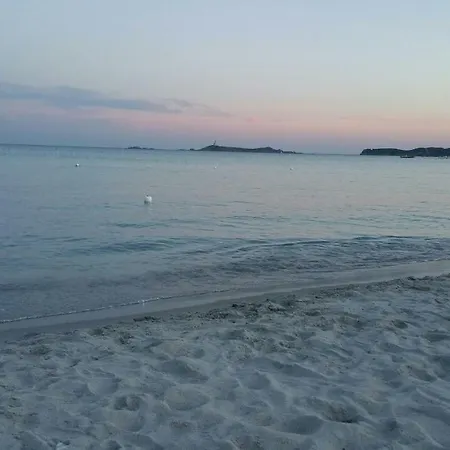 Simius Holiday home